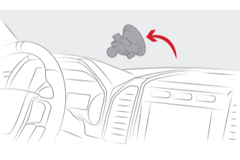 Windshield
